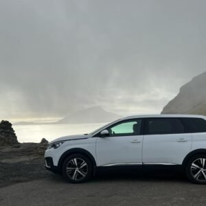 VIP driving - buisiness driving