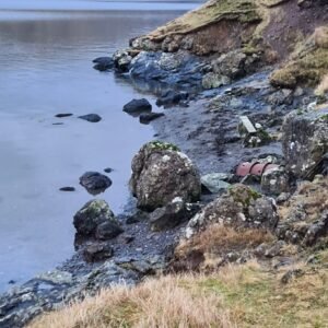 Sightseeing, ocean dipping, homedining